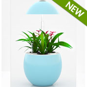 Floreira Hidropnica - J301 Azul - JardiNice